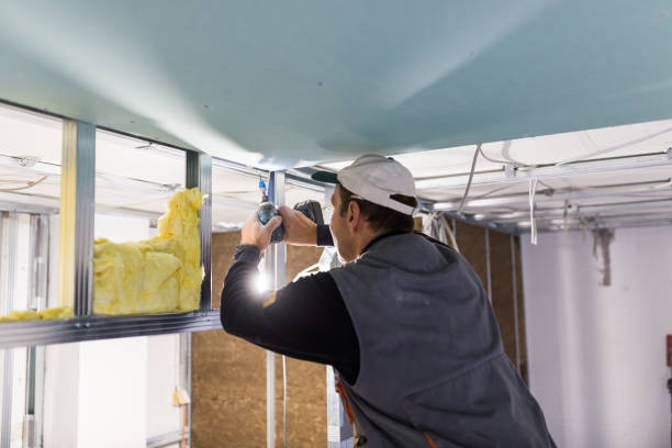 Best Insulation Maintenance and Repair in Shorewood Hills, WI